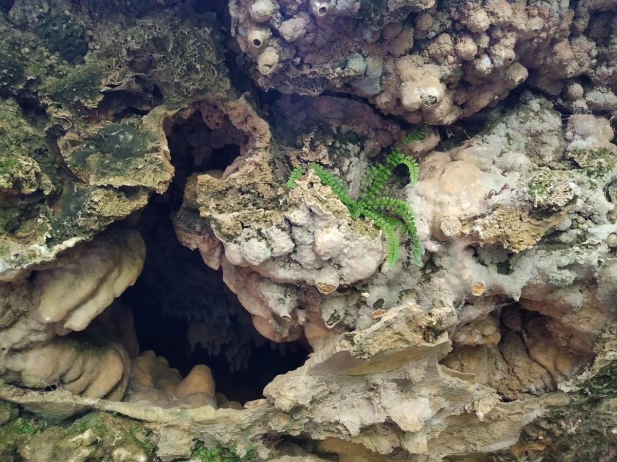Guesthouse Pod Rastockim Krovom Slunj Dış mekan fotoğraf